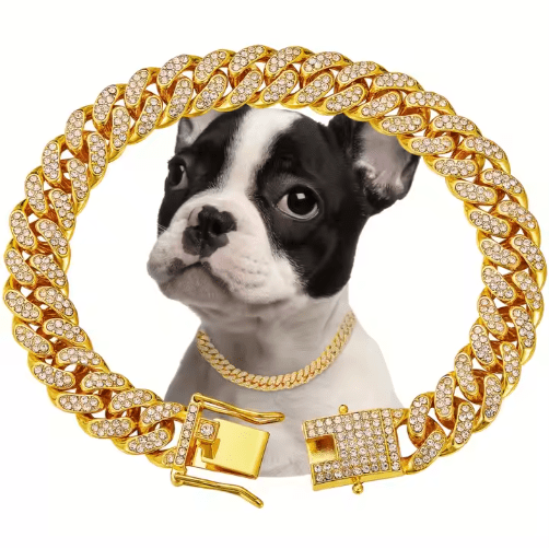 Luxury Alloy Pet Chain Collar — Sparkling Rhinestone-Style Metal Choker for Dogs & Cats (Gold - Size 2XL)