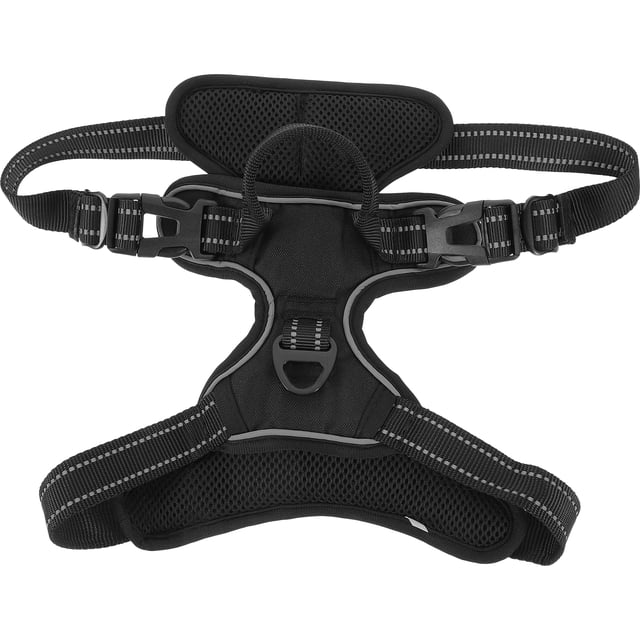 Sangle de Poitrine pour Appareil Photo Sportif Sangle de Poitrine en Tissu Oxford Noir Réglable 1Ensemble