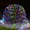 Muticolor, variant on Christmas Mesh Net Lights, 5ft x 5ft 96 Led Outdoor Christmas Bush Lights with 8 Modes, Connectable, Waterproof Mesh Light for Trees, Bushes, Outdoor Christmas Decorations
