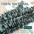 thumbnail image 4 of GoXteam 20pcs Blue Dried Eucalyptus Stems, Natural Eucalyptus Branches for Shower Hanging, 17" Preserved Plants Steam Shower for Women and Men, Relaxation Set, Mother's Day, 4 of 7