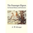 thumbnail image 2 of The Passenger Pigeon, 2 of 3
