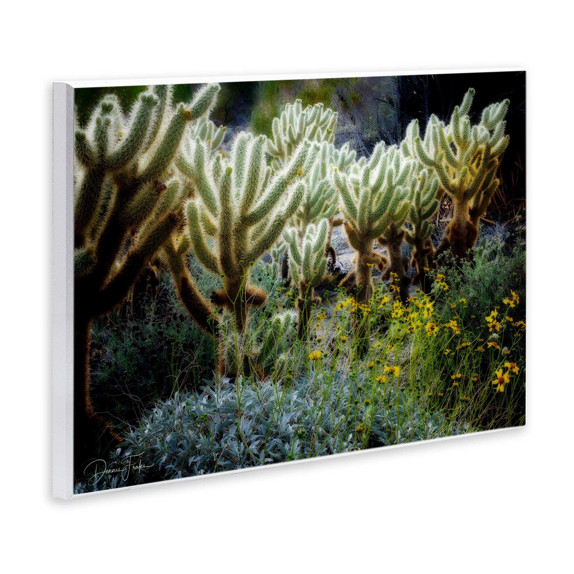 Stupell Industries Desert Cactus Forest Landscape Photography Unframed Art Print Wall Art, 15 x 10