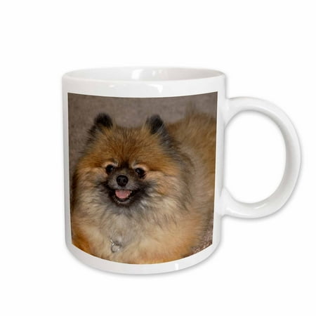 

3dRose Smiling Pomeranian Dog Dogs Animal Photography - Ceramic Mug 15oz (mug_29483_2)