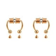 thumbnail image 3 of maskred 1/2/3/5 2021 New Fake Nose Ring Alloy Nose Hoop Septum Rings For Rosegold 2PCS, 3 of 6