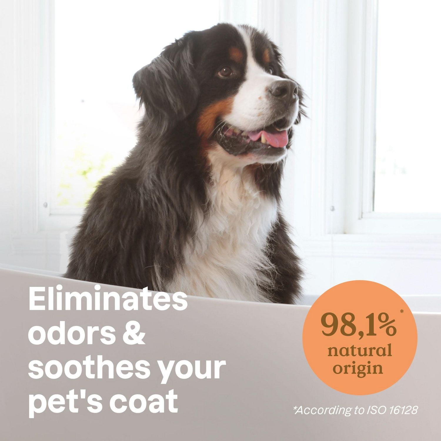 ATTITUDE Furry Friends, Shampoing sec, Désodorisant, Lavande, Soins pour animaux, Shampoing pour chiens, 473 mL