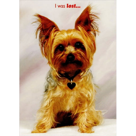 Designer Greetings Dog with Red Heart Collar: Husband Valentine's Day Card
