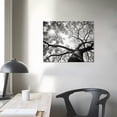 thumbnail image 3 of MLJA Black and White Wall Art Abstract Large Modern Oil Painting on Canvas Hand Painted Textured Tree Artwork Contemporary Art Home Decorations Wall Decor, 3 of 4