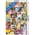 thumbnail image 3 of Keith Kimberlin - Kittens Collage Wall Poster, 14.725" x 22.375", 3 of 3
