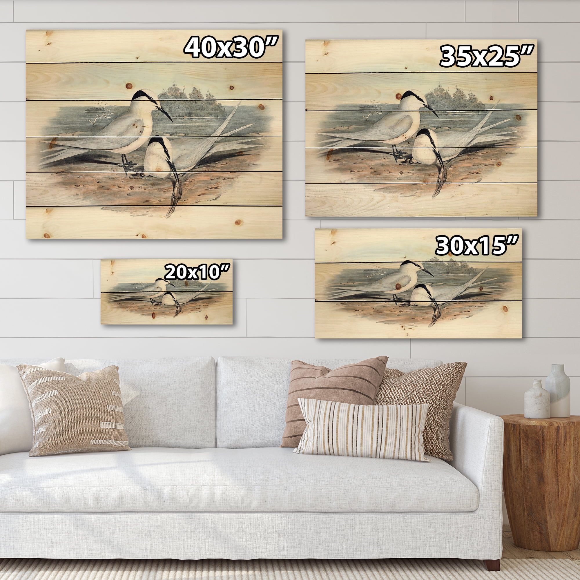 Designart 'Ancient Birds In The Wild IX' Traditional Print on Natural Pine Wood
