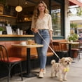 thumbnail image 6 of Miaoju Dog Vest Harness for Puppy and Cat, No Pull Adjustable Reflective Step-in Puppy Harness Cute Soft for Small and Medium Dogs, 6 of 8