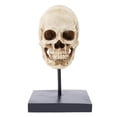 thumbnail image 2 of AMLESO Creative Resin Statue Skeleton Props Sculpture Home Office Desk Decoration, 2 of 7