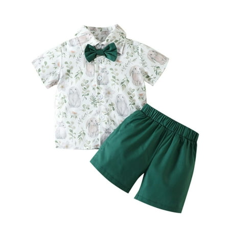 

Leesechin Toddler Outfit Set Easter Boys Short Sleeve Round-Neck Printing Shirts+Short Pants Two-piece Set On Clearance