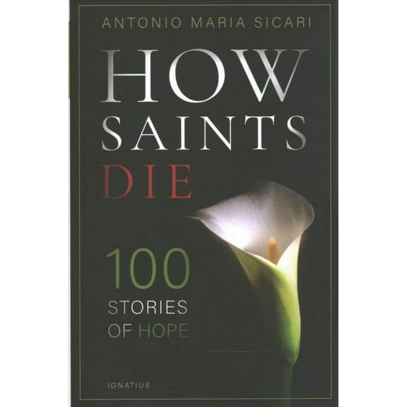 How Saints Die : 100 Stories of Hope (Paperback)