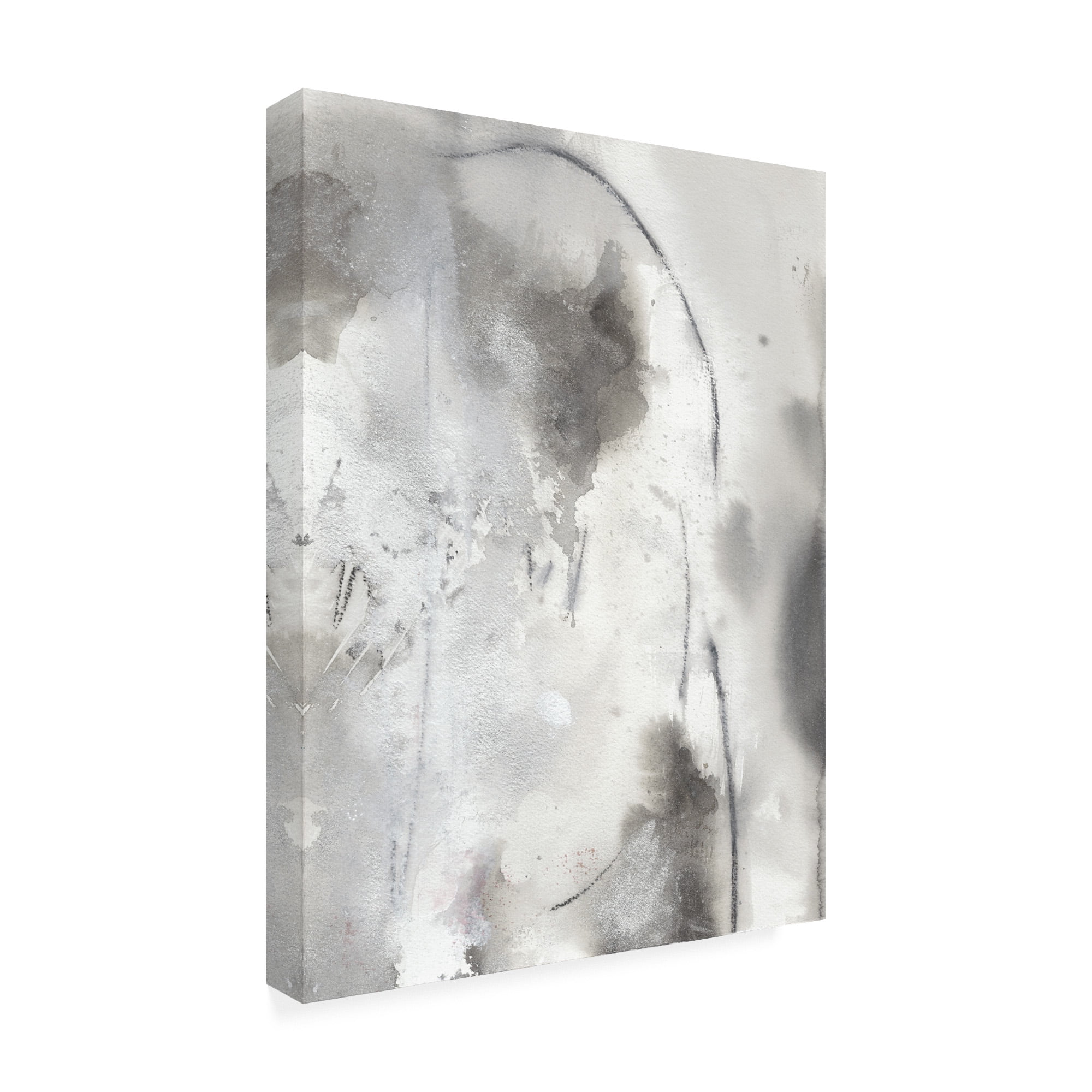 Trademark Fine Art 'Mystical Objects IV' Canvas Art by Joyce Combs