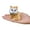 B, variant on Plush Cat Toy,Simulation Plush Toy with Sound,Mini Lovely Animal Doll Cute Cat Stuffed Animal Figurine with Sound Cat Room Car Decoration Birthday for Kids Toddlers