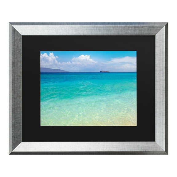 Trademark Fine Art 'Blue Beach Maui' Canvas Art by Pierre Leclerc