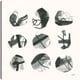thumbnail image 1 of Tempestad II, 1 of 4