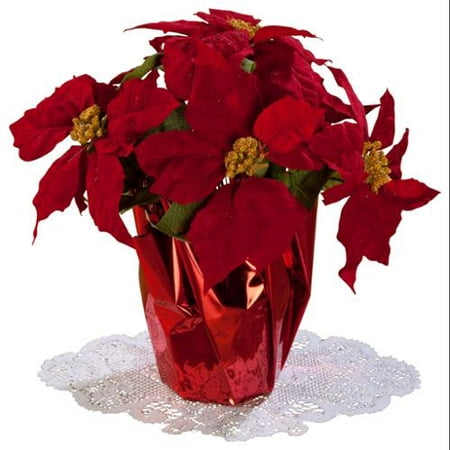 Miles Kimball Red Christmas Poinsettia 12quot;  Walmart.com