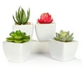 thumbnail image 5 of K-Cliffs Mini Artificial Succulent Plants in White Planter Pots, Set of 4, 5 of 5