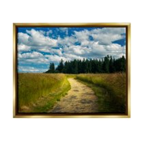 Stupell Industries Cloudy Rural Path Grassland Landscape Photography Gold Floater Framed Art Print Wall Art