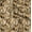 Brown, variant on Soimoi Orange Fabric - By the Yard - 42 Inch Wide - Leopard Animal Skin Print Textile - Stylish and Trendy Patterns for Apparel Printed Fabric