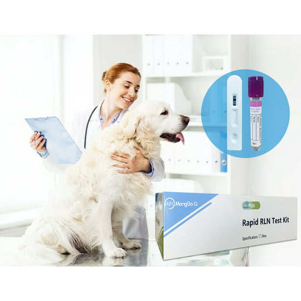 toilet falme privilegeret MONGGO Q Pet Rapid Canine Pregnancy Relaxin RLN Healthy Testing Kit for  Dogs 5-Packed - Walmart.com
