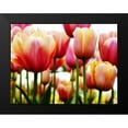 thumbnail image 2 of PhotoINC Studio 18x15 Black Modern Framed Museum Art Print Titled - Tulip, 2 of 5