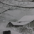 thumbnail image 4 of Northlight Large Fiber Optic Lighted Snowy Winter Cabin Canvas Wall Art 23.5" x 15.5", 4 of 5