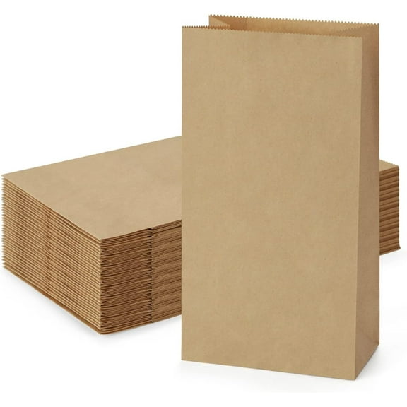 100 Pack Eco Friendly Brown Kraft Paper Lunch Bags 4lb, 5x2.95x9.45 Inches Fold Top Disposable Paper Bags, Multipurpose Kraft Bags for Lunch, Party, Gift, Craft & Retail Storage