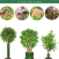 thumbnail image 4 of 10 Pack Tree Trunk Protectors, Expandable Weatherproof Mesh Tree Trunk Wraps Flexible Plastic Plant Cover for Preventing Tree Trunk from Trimmer Mower Rodent Sun Scald, 4 of 7