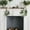 🔥 GREEN, variant on Msgweeeg Christmas Decorations Indoor Christmas Ornaments Artificial Mistletoe Wall Hanging Christmas Home Fireplace Interior Decoration Christmas Tree Accessories Hanging