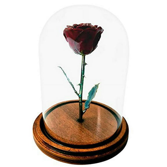 Forever Rose Enchanted Rose, a Genuine, One of a Kind, Real Burgundy Rose, Hand Dipped in Lacquer with a Copper Stem and Leaves, Beauty and The Beast