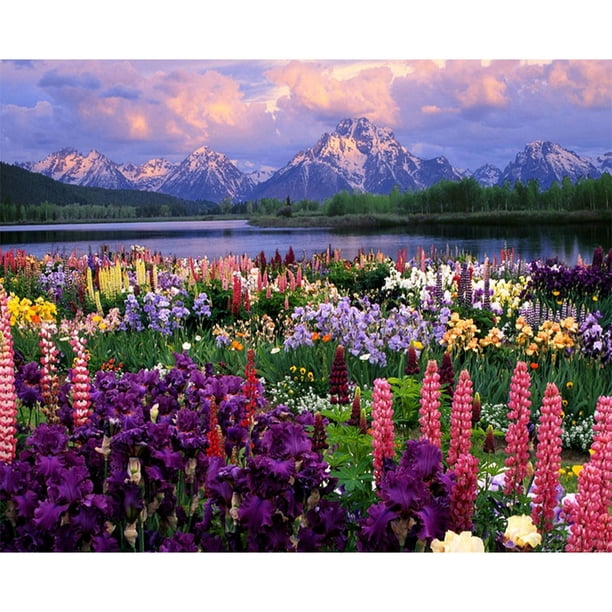 Cuadros Decorativos Pintura al óleo de plantas de racimo de flores por números Dibujo de bricolaje 40x30cm (FL25-S) Sywqhk Nuevos Originales