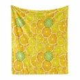 thumbnail image 1 of Yellow Soft Flannel Fleece Blanket, Lemon Orange Lime Fruit Citrus Round Cut Circles Big and Small Pattern, Cozy Plush for Indoor and Outdoor Use, 50" x 70", Yellow White and Green, by Ambesonne, 1 of 6