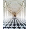 thumbnail image 2 of ABPHOTO 5x7ft Photography Backdrop Castle Luxury Palace Carving Embossment Wall Painting Black and White Marble Floor European Photo Background Backdrops, 2 of 4