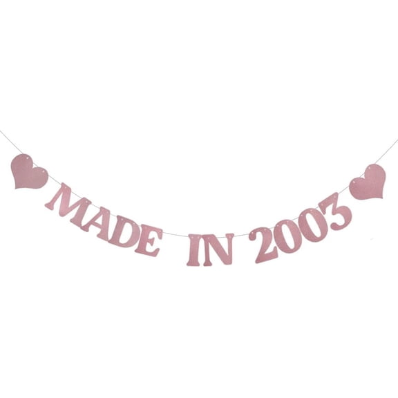 Rose Gold Made in 2003 Banner,Pre-Strung,Funny 21st Birthday Party Decorations,Made In 2003