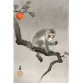 thumbnail image 2 of Koson, Ohara 13x18 White Modern Wood Framed Museum Art Print Titled - Monkey in cockatoo, 2 of 4