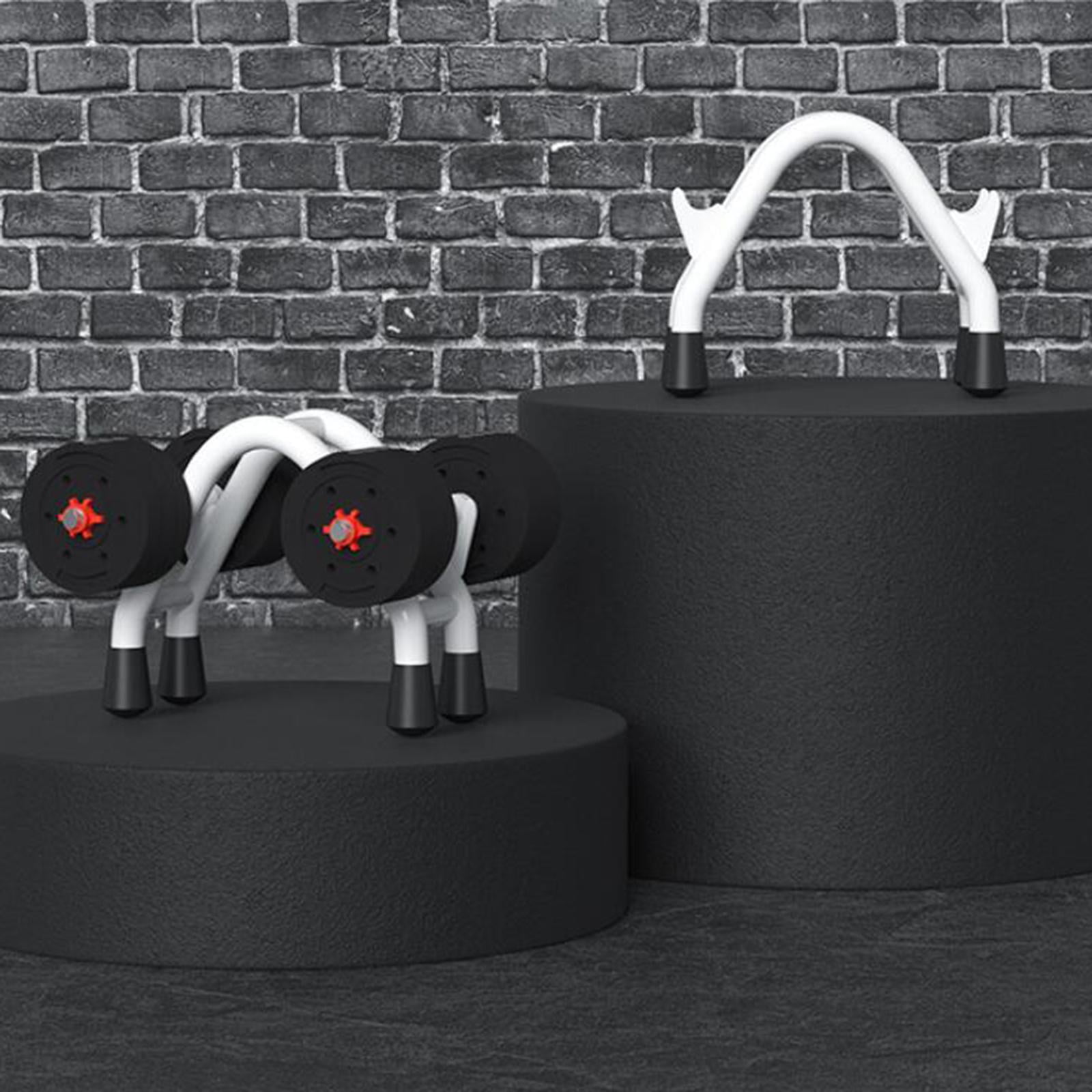 Axioma Dumbbell Rack Weight Racks Strength Training Fitness Equipment High Load Bearing
