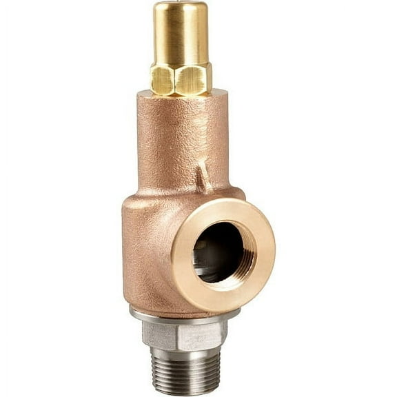 Aquatrol Adjustable Relief Valve,3/4 In,50 psi 69B1B1M2U1-50