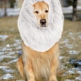 thumbnail image 4 of Mane Wig For Dogs With Ears Funny Pet Costumes For Halloween Christmas, 4 of 6