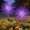 Purple, variant on 2 Pack Solar Garden Lights, 120 LED Fairy String Lights, Waterproof Multicolor Outdoor Decorative Lights for Yard Patio Pathway Wedding Party