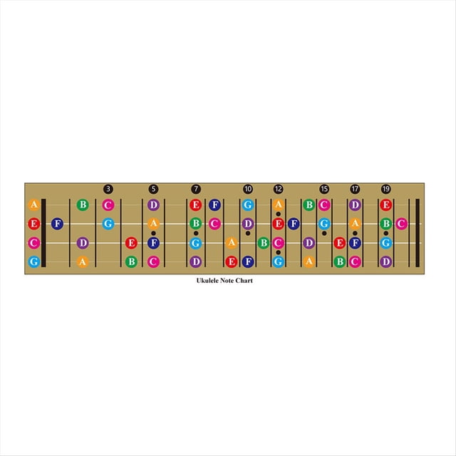 Tabla de Notas del Diapasón de la Guitarra del Ukelele Aprende A Tocar la Guitarra y Teoría Musical, Apto para Todos los Niveles