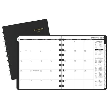 AT-A-GLANCE Monthly Planner with Poly Cover - 2020 Monthly