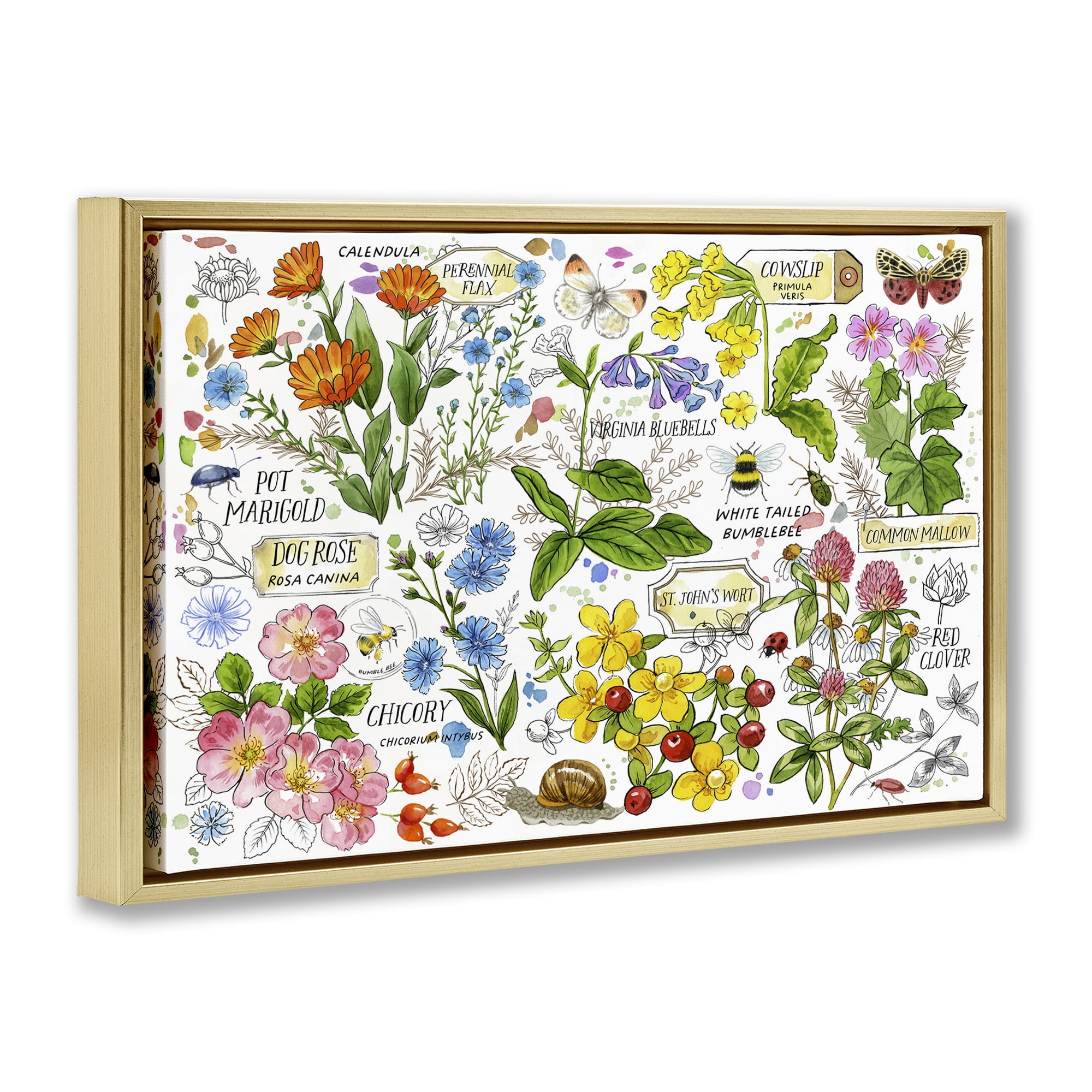 Stupell Industries Various Herbs Benefits Botanical & Floral Painting Gold Floater Framed Canvas Art Print Wall Art, 31 x 21