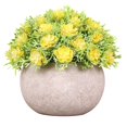 thumbnail image 1 of XS-100X60X150CM Pequeñas Plantas Verdes Artificiales Para La Decoración De La Casa Roja, 1 of 5