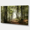 thumbnail image 3 of Designart Green Fall Forest with Sun Rays Canvas Wall Art, 3 of 4
