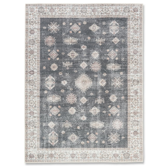 Aura Spill Proof Washable Indoor Area Rug Living Room, Entryway, Bedroom, Kids Room, 3 ft x 5 ft