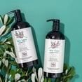 thumbnail image 6 of Soapbox Tea Tree Cleansing Shampoo & Conditioner Set with Tea Tree, 2 Piece, 6 of 7