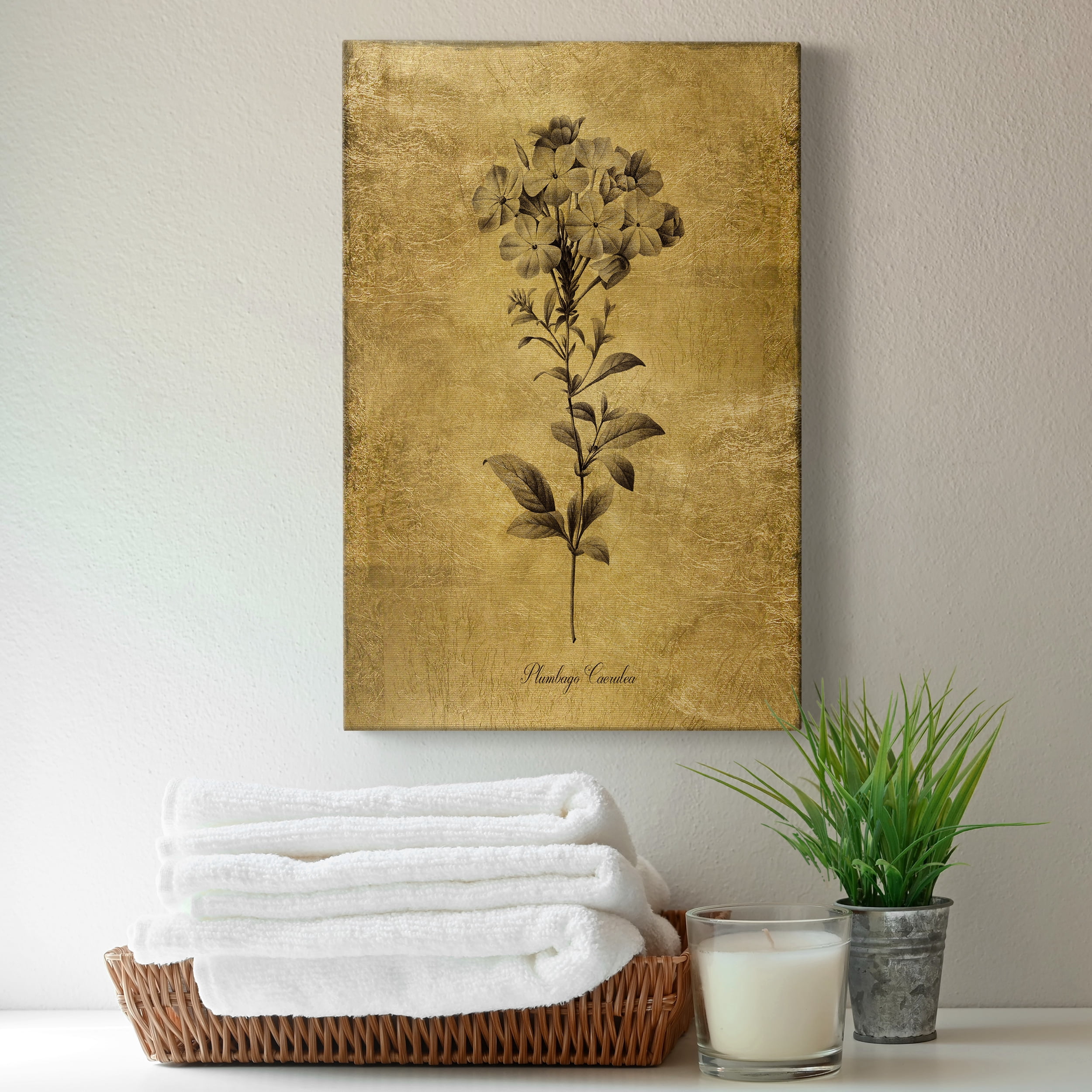 Gold Sketch Botanical II Premium Gallery Wrapped Canvas - Ready to Hang - 24 x 36