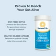 thumbnail image 6 of Ultimate Flora Probiotics for Men and Women | 30 Billion CFU | 30 Capsules | by Renew Life, 6 of 7